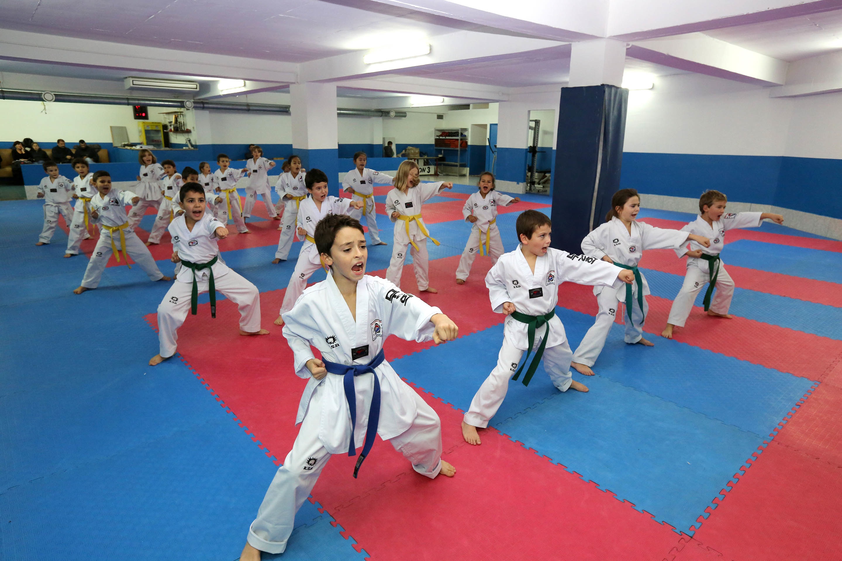 club taekwondo ajaccio